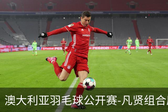 澳大利亚羽毛球公开赛-凡贤组合鏖战进决赛 混双中国揽冠亚